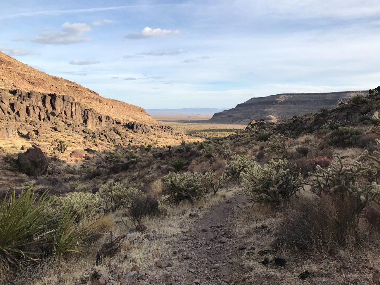 A desert valley on barber peak trail with creosote and bulffs