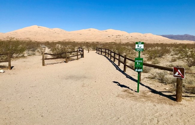 A BARK Ranger station for dog waste bags at the Kelso Dunes trailhead.  Behind it is a wooden fence, creosote, and the Kelso Sand Dunes.