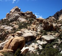 A mountain made of tan-colored granitic boulders, with green plants growing on and around it.