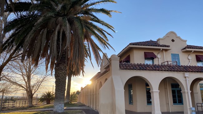palm trees in front of kelso depot