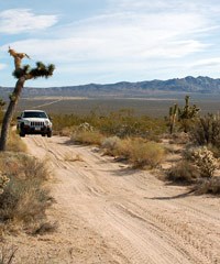 photo of Mojave Road