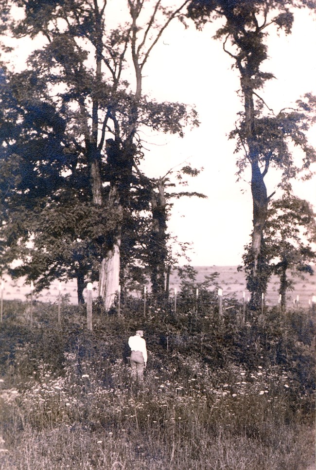 Black and white photo of an older, white man standing in a field with trees on the edge of the field.