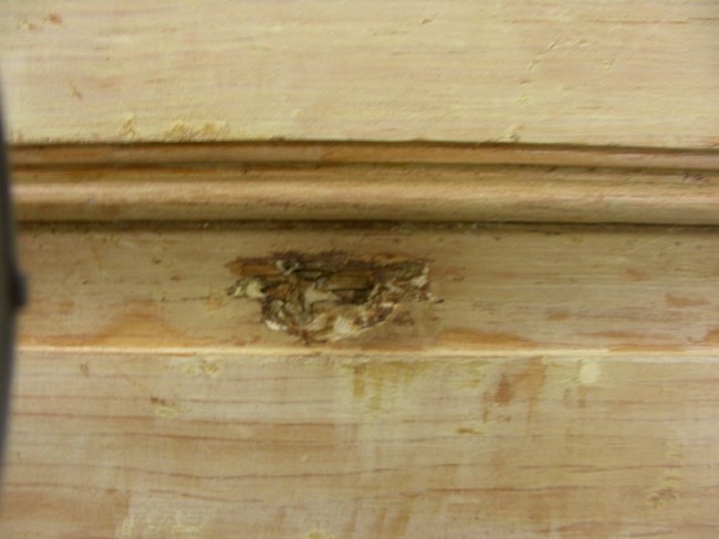 Damage to a wood door panel from a bullet.