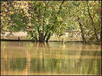 The tops of fence posts appear above flood waters.