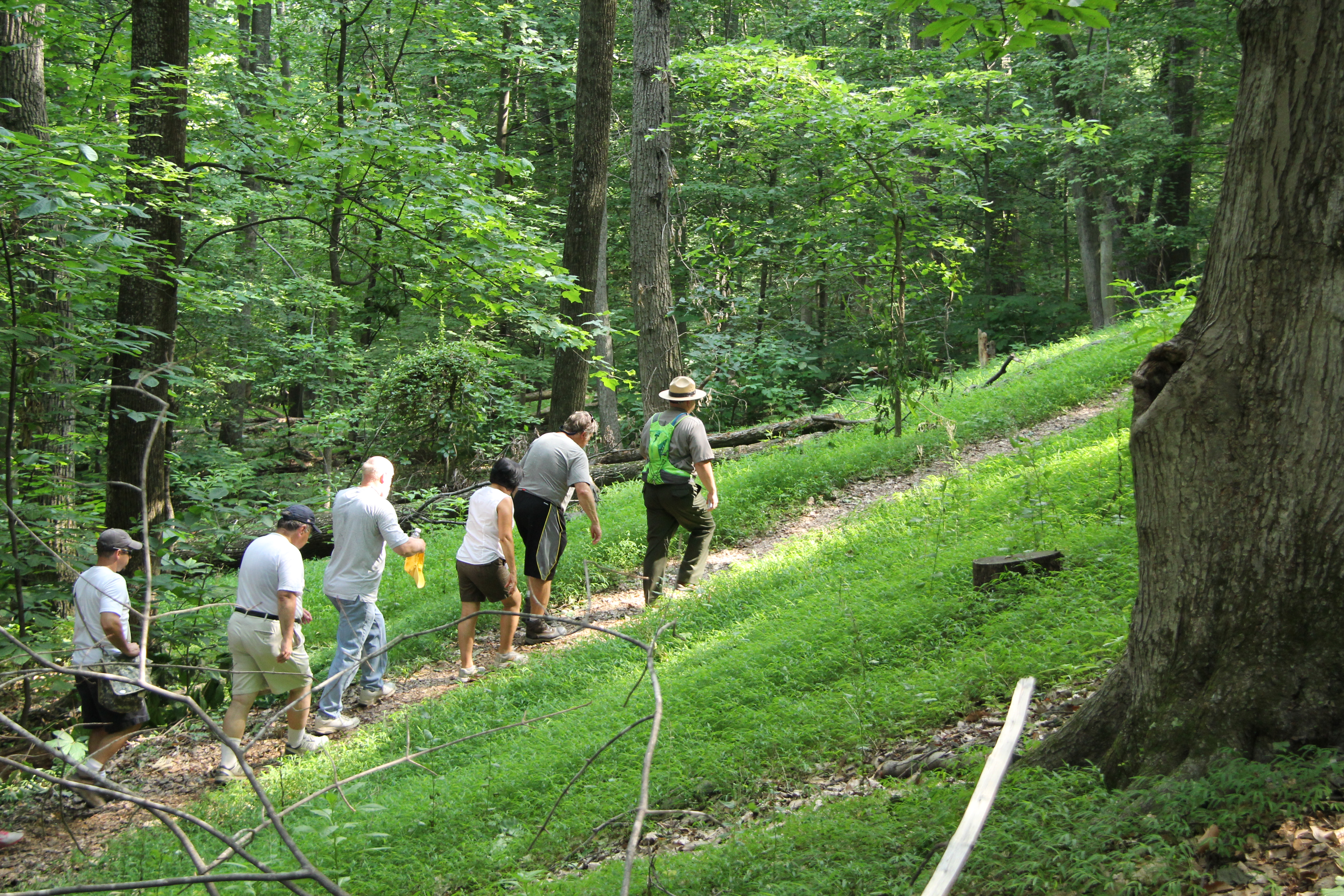 Ranger leading a hike through the woods