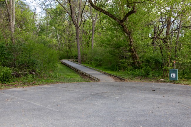 A paved asphalt parking lot next to a boardwalk with wood planks leading away into a wooded area.