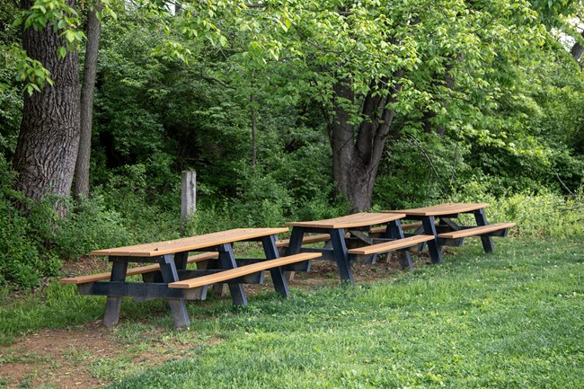 Three picnic tables with attached benches lined up end to end in a grassy area next to a line of trees.