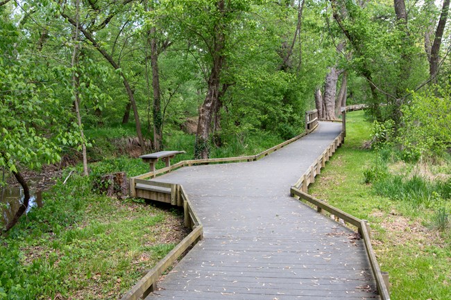 A wide flat boardwalk with bumpers on the edges and a bench on the side cuts through a grassy area with trees next to a creek.