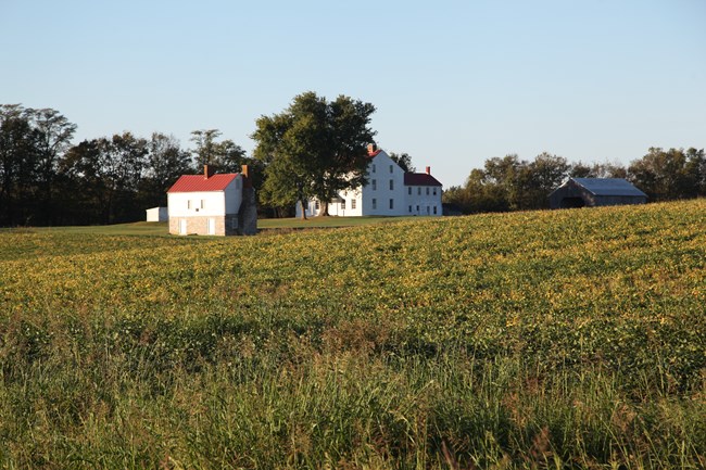 A farmhouse on the horizon