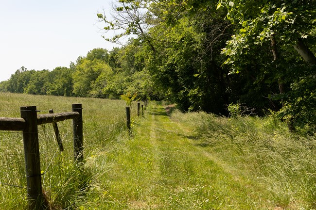A mowed path follows a fenceline on the edge of a farm field and woods.