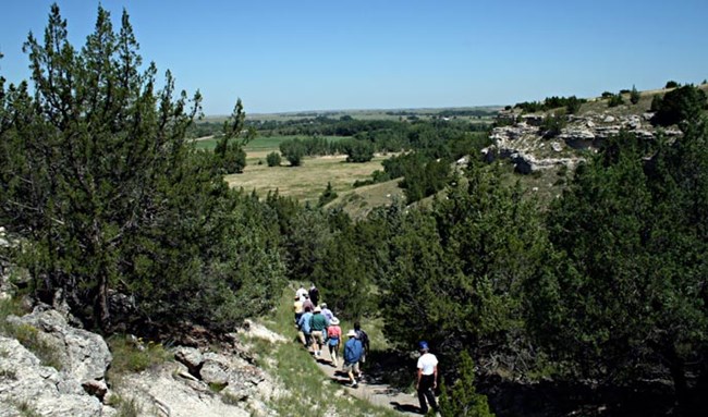 Hikers walk a path surrounded by pine trees on the side of a hill in Ash Hollow, Nebraska.