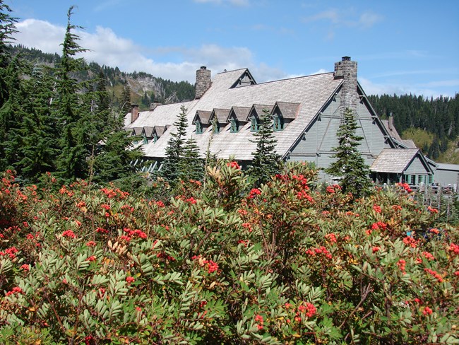 Historic wooden building with steeply pitched roof with berries in foreground