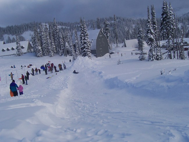 People sledding at Paradise Snowplay area. People using sledding runs at Paradise.