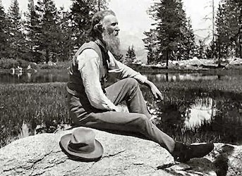 A seated man in profile with a very large beard.