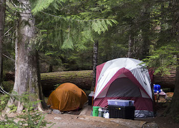 rock camp cougars personals Widowsorwidowerscom is a dating website bringing widows and widowers together since 2004 many success stories of widows and widowers who have connected and started dating again after losing their partner. rock camp cougars personals Widowsorwidowerscom is a dating website bringing widows and widowers together since 2004 many success stories of widows and widowers who have connected and started dating again after losing their partner.