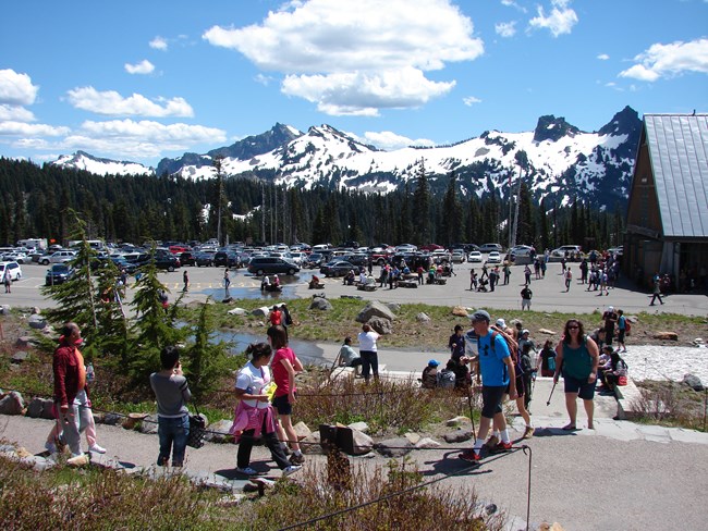 Visitors at Paradise in front of a busy parking lot