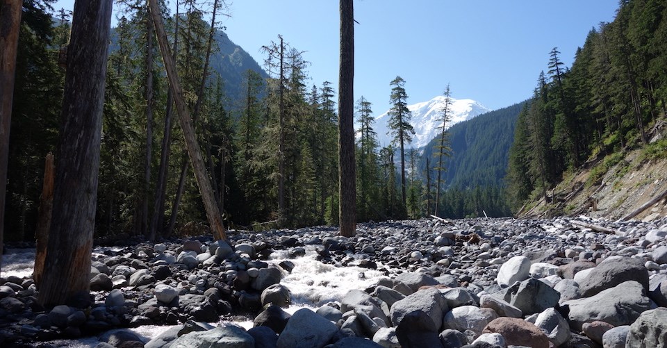 A river flows past dead trees in a wide rocky riverbed, with a distant white mountain peak above forested hillsides.