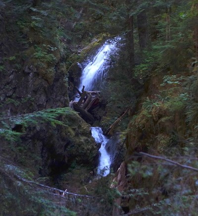 Two white slashes of waterfall shine in a narrow dark canyon filled with vegetation.