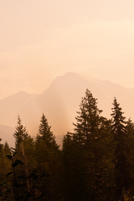 Heavy smoke conditions causing a yellow haze deeply impairs the view of Mount Rainier from Longmire