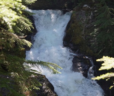Rushing white water cascades over a narrow channel in a dark forest.