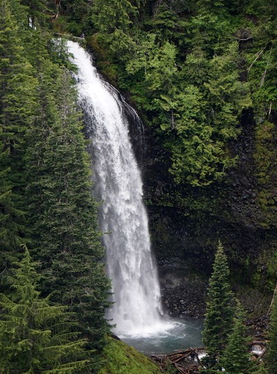 A long arch of white waterfall surrounded by green conifer forest.