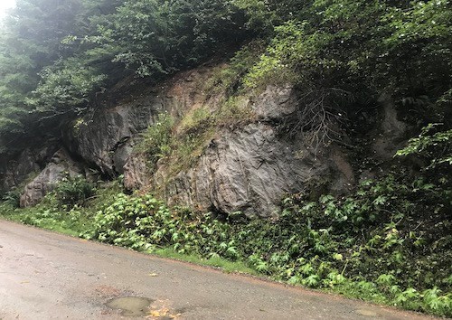 An exposed rock face surrounded by bushes and vegetation along a muddy dirt road. The rock face has vertical layers angled to the left with faint ripple marks.