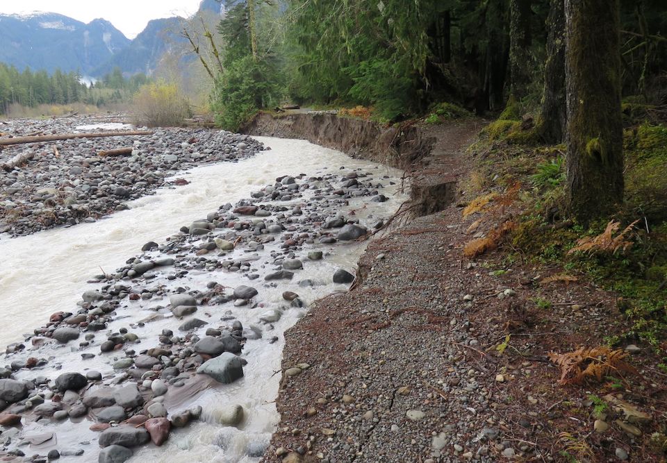 Carbon River Trail Washout 2022 A river flows next to a forest, with only a thin, crumbling strip of road remaining in between the river and forest.