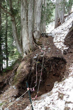 A deep washout in the Comet Falls Trail prevents passage.