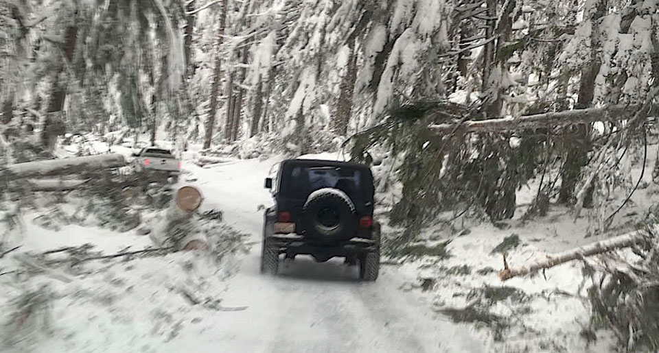 A jeep drives between numerous fallen trees that narrow a snowy road to a single lane.