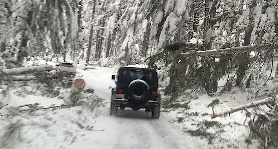 Nisqually Road Conditions January 2020 A jeep drives between numerous fallen trees that narrow a snowy road to a single lane.