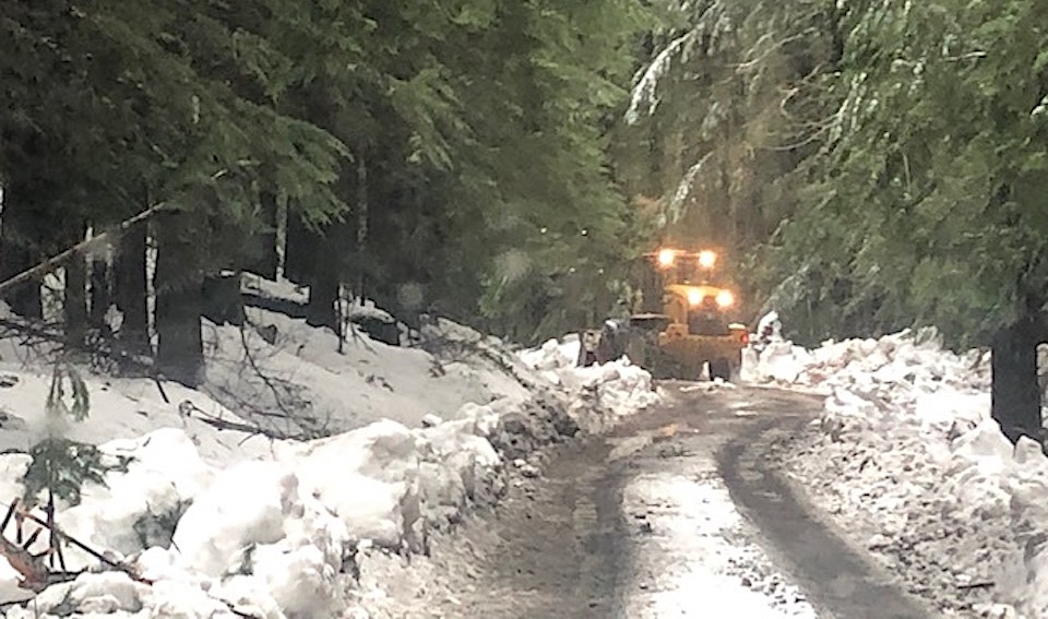 A bulldozer carves a single lane through a snowy forested road.