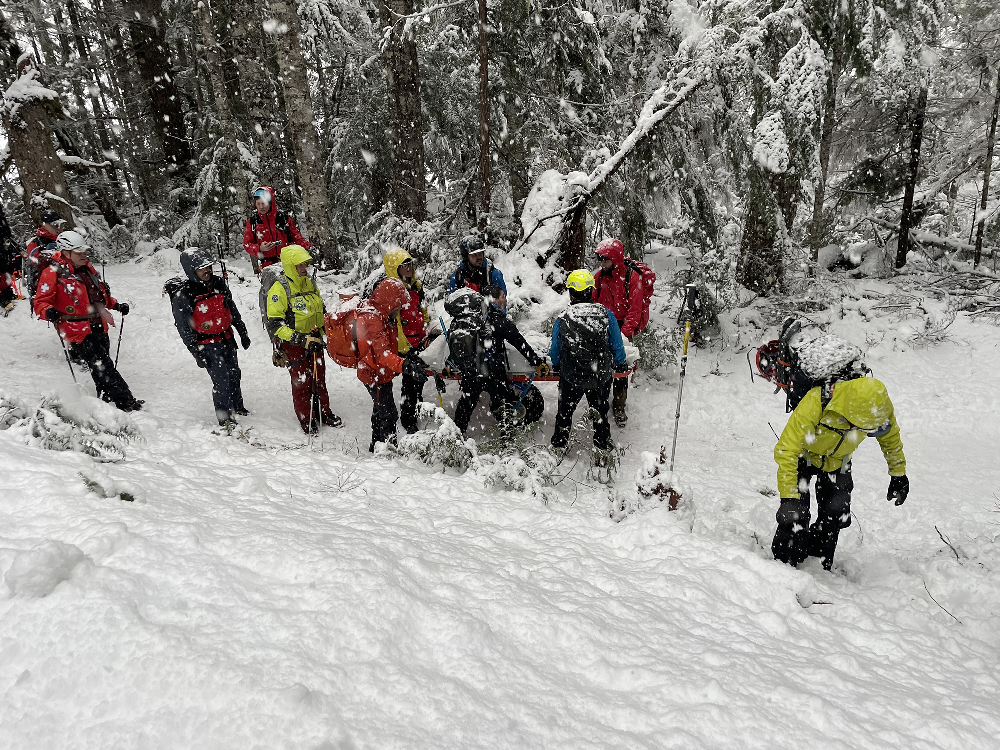 Park Rangers and volunteers respond to injured visitor. A group of rangers and mountain rescue volunteers carry a person on a litter through a snowy forest.