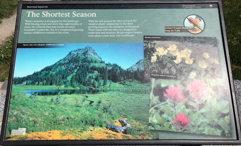 A panel in a metal frame shows a picture of a lake surrounded by colorful wildflower meadows. Two smaller photos show examples of different flowers, with white anemone on top and magenta paintbrush underneath.