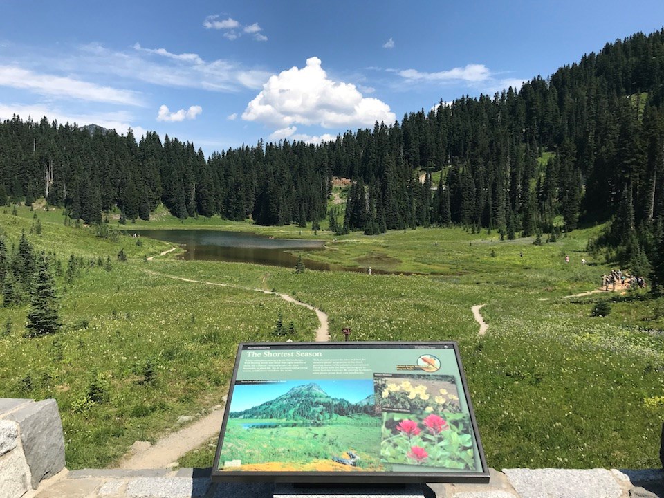 A wayside panel on a low rock wall overlooks a wildflower meadow surrounding a shallow pond.