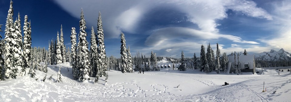 Footprints wander through a snow-covered meadow.