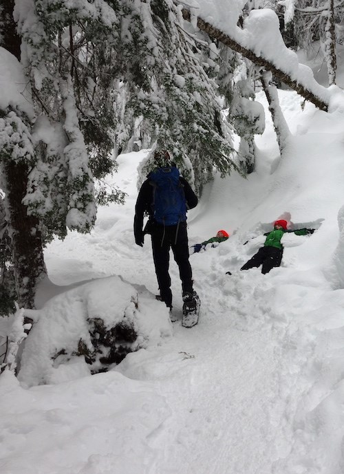 Two kids make snow-angles in the deep snow along a forested trail while in adult in snowshoes stands nearby.