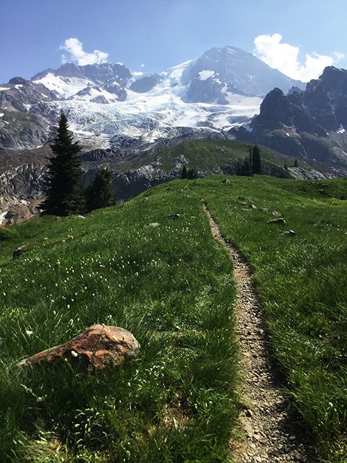 A narrow dirt trail bordered by lush green meadow climbs towards a glaciated mountain peak.