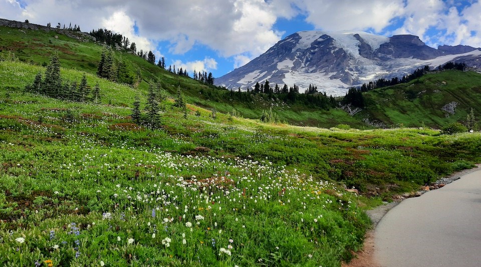 Meadow Preservation - Mount Rainier National Park (U.S. National Park Service) Meadow Preservation - Mount Rainier National Park (U.S. National Park Service)