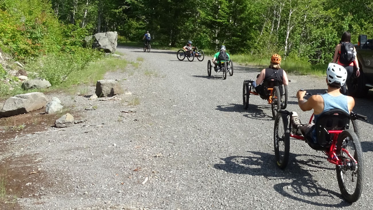 A group of handcyclists travel up a gravel road surrounded by tall evergreen trees.