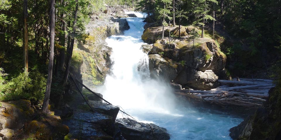 The white waters of a river roar down a waterfall, surrounded by dense old growth forest.