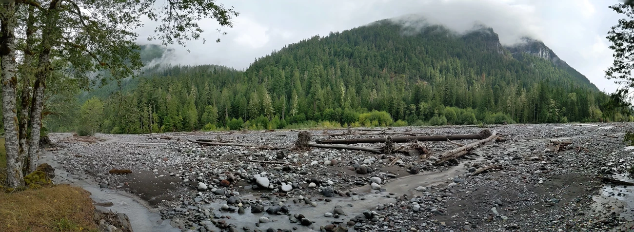 Carbon River Panorama A wide image of the Carbon River Valley