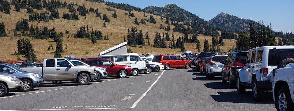 Cars crowd a parking lot.