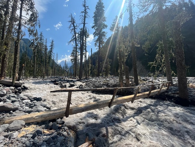 Lower Carbon River Crossing is In!