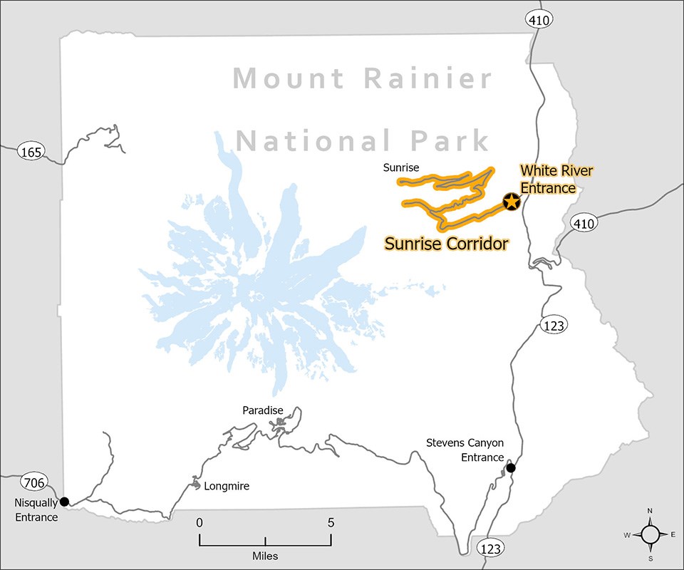 Simplified map of Mount Rainier National Park showing only the roads that connect and enter the park. The White River and Sunrise Roads in the northeast corner of the park are highlighted in yellow to indicate the Sunrise Corridor.
