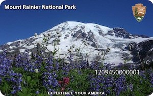 An image of the Mount Rainier Annual Pass, featuring a blooming wildflower meadow with Mount Rainier in the background and the NPS Arrow in the upper right corner.
