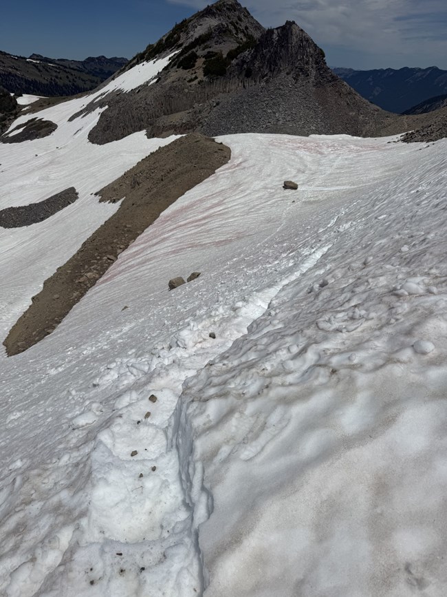 Winter travel skills and navigation skills required on the East Side of the Wonderland Trail