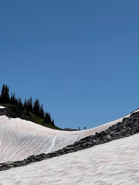 Steep snow slope just south of Panhandle Gap.