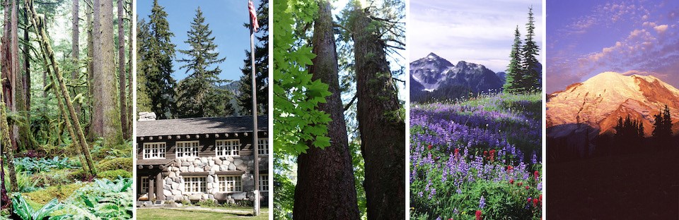 A collage of five photos (left to right): a forest covered in moss and ferns, a two-story wood and rock building, two massive tree trunks, a meadow filled with purple and red flowers, and a glaciated mountain at sunrise.