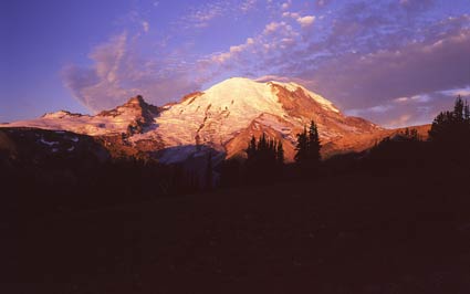 The first rays of morning sun touch a snow covered mountain, tinting he snowfields shades of gold and pink. The first rays of morning sun touch a snow covered mountain, tinting he snowfields shades of gold and pink.