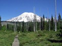 One of many trails at Mount Rainier; this one to Bench and Snow Lakes.